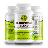 Blood Sugar Blend (Supports Healthy Blood Sugar) - Big Brain Brew