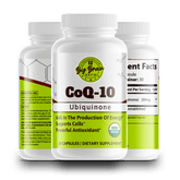 CoQ - 10 (Ubiquinone) - Big Brain Brew