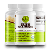 Irish Sea Moss Capsules (Antioxidant Powerhouse) - Big Brain Brew