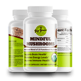 Mindful Mushrooms (Blend of 8+ Functional Mushrooms) - Big Brain Brew