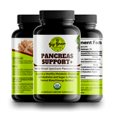 Pancreas Support+ (Premier Support Elixir) - Big Brain Brew