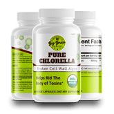 Pure Chlorella (Natural Detoxification) - Big Brain Brew