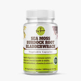 Sea Moss Burdock Root and Bladderwrack Capsules (Nature Powerhouse) - Big Brain Brew
