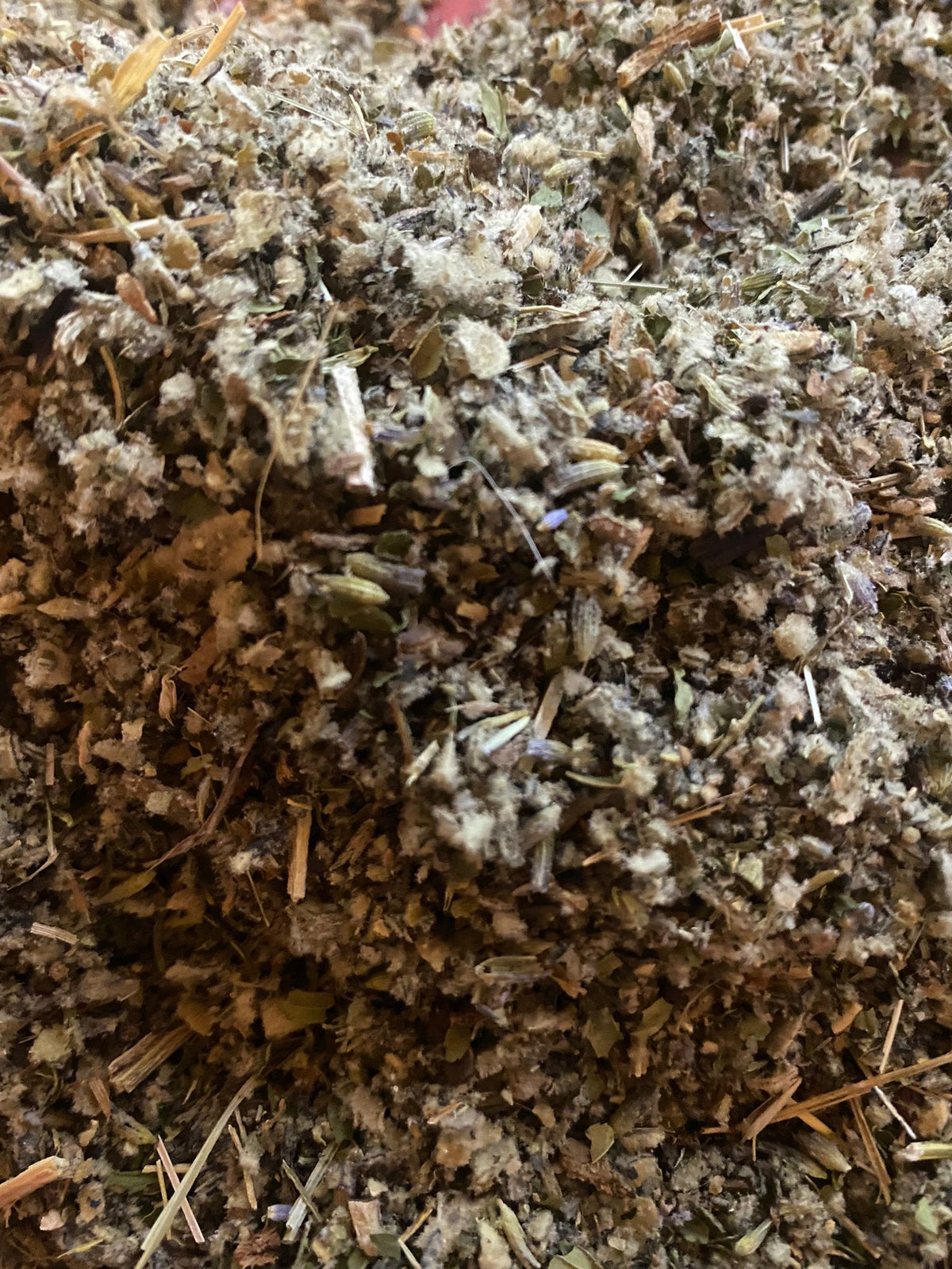 Lung Focused Brew - Mullein , Lavender, Peppermint