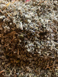 Lung Focused Brew — Mullein , Lavender, Peppermint