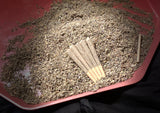 Lung Focused Brew — Mullein , Lavender, Peppermint
