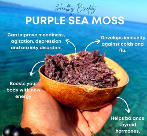 (PREORDER) The Most Powerful Sea Moss Gel Infused BREW102