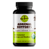 Adrenal Support+ (Fermented Support Elixir) - Big Brain Brew