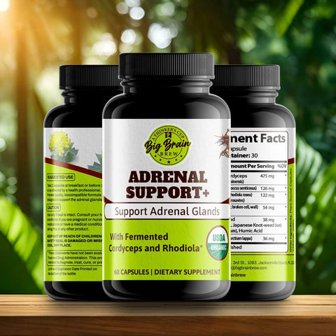 Adrenal Support+ (Fermented Support Elixir) - Big Brain Brew