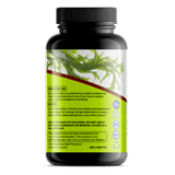 Advanced Thyroid & Hormone Support (Advanced Elixir) - Big Brain Brew