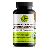 Advanced Thyroid & Hormone Support (Advanced Elixir) - Big Brain Brew