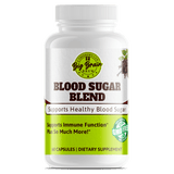 Blood Sugar Blend (Supports Healthy Blood Sugar) - Big Brain Brew