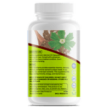 Goddess Support (Goddess Multivitamin Essence) - Big Brain Brew