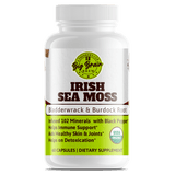 Irish Sea Moss Capsules (Antioxidant Powerhouse) - Big Brain Brew