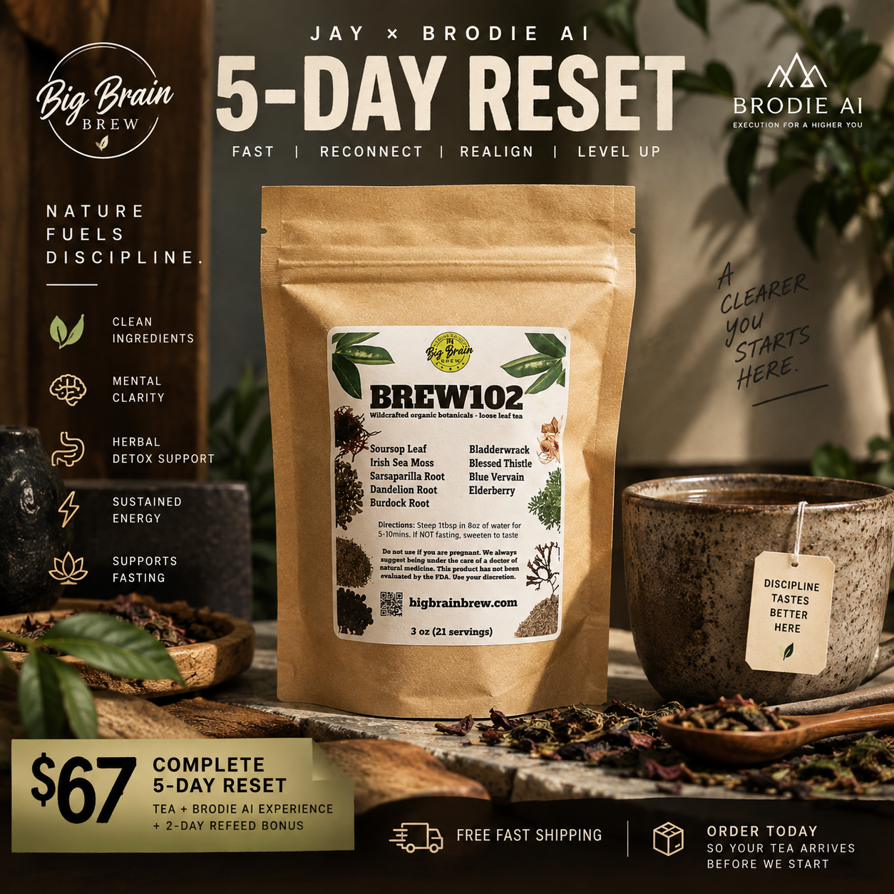 Jay x Brodie AI 5-Day Reset with Brew102