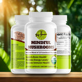 Mindful Mushrooms (Blend of 8+ Functional Mushrooms) - Big Brain Brew