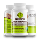 Mindful Mushrooms (Blend of 8+ Functional Mushrooms) - Big Brain Brew