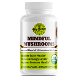 Mindful Mushrooms (Blend of 8+ Functional Mushrooms) - Big Brain Brew