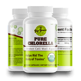 Pure Chlorella (Natural Detoxification) - Big Brain Brew