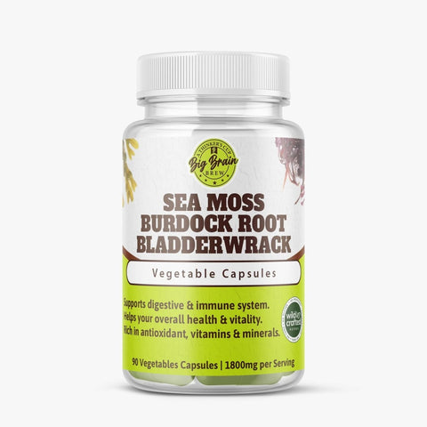 Sea Moss Burdock Root and Bladderwrack Capsules (Nature Powerhouse) - Big Brain Brew